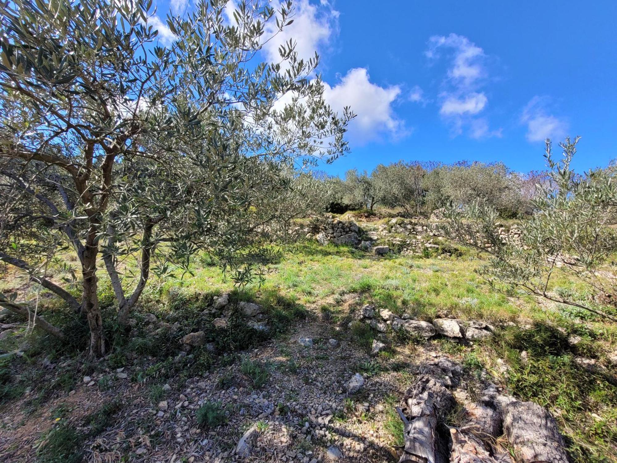 Villa Renovee Avec Piscine Privee Clermont-lʼHérault Esterno foto